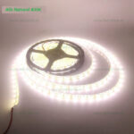 Banda LED 5050 60 SMD/ML Interior Alb Natural 12V - imagine 2