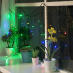 Instalatie LED Perdea Turturi 5x0.7m 144L Fir Negru - imagine 7