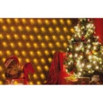 Instalatie LED Plasa 2x1.5m - imagine 2