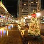 Instalatie LED Plasa 5x1m Diverse Culori Flash Fir Gros Alb Cauciucat - imagine 3
