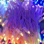 Instalație Brad 100 LED Alb Fir Gros