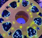 Instalatie Pom Craciun 1000 LED-uri Diverse Culori Fir Negru - imagine 3