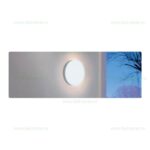 Plafoniera LED 24W Rotunda Exterior Frameless NORTON - imagine 3