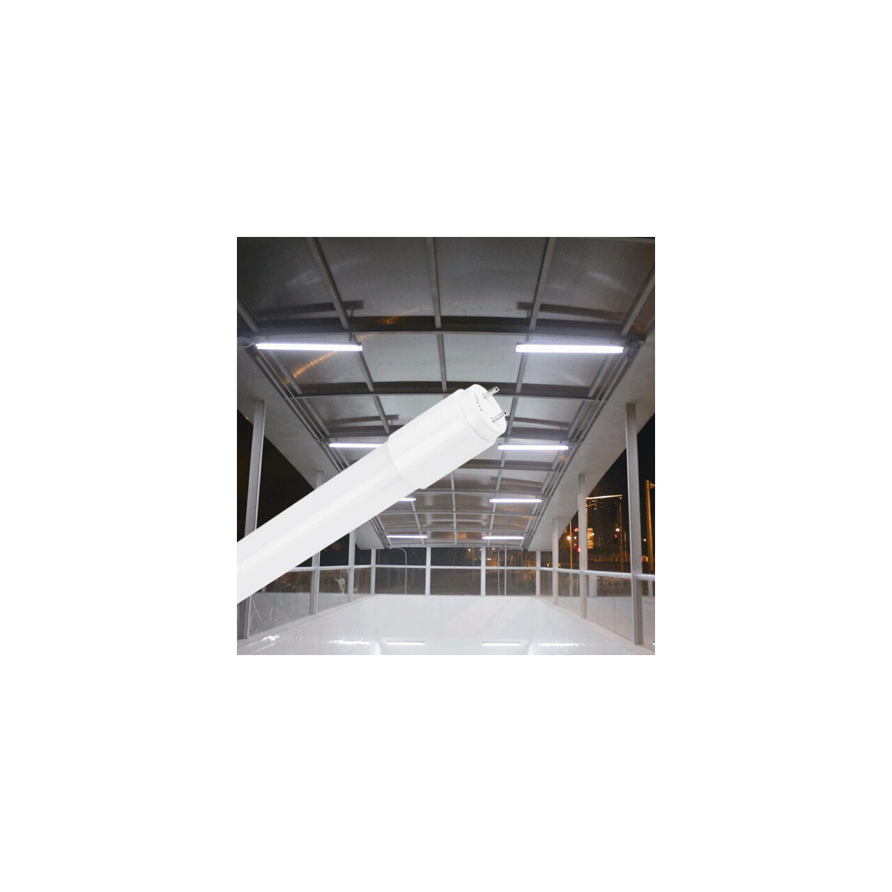 TUB LED 1500MM 24W 2440LM 6500K T8 ALB ALIM 1CAP 2 TUB LED 1500MM 24W 2440LM 6500K T8 ALB ALIM 1CAP - imagine 2